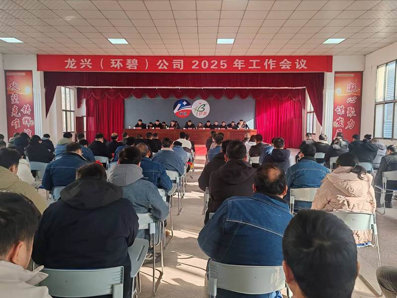 龙兴（世界杯在线登录）公司召开2025年工作会议